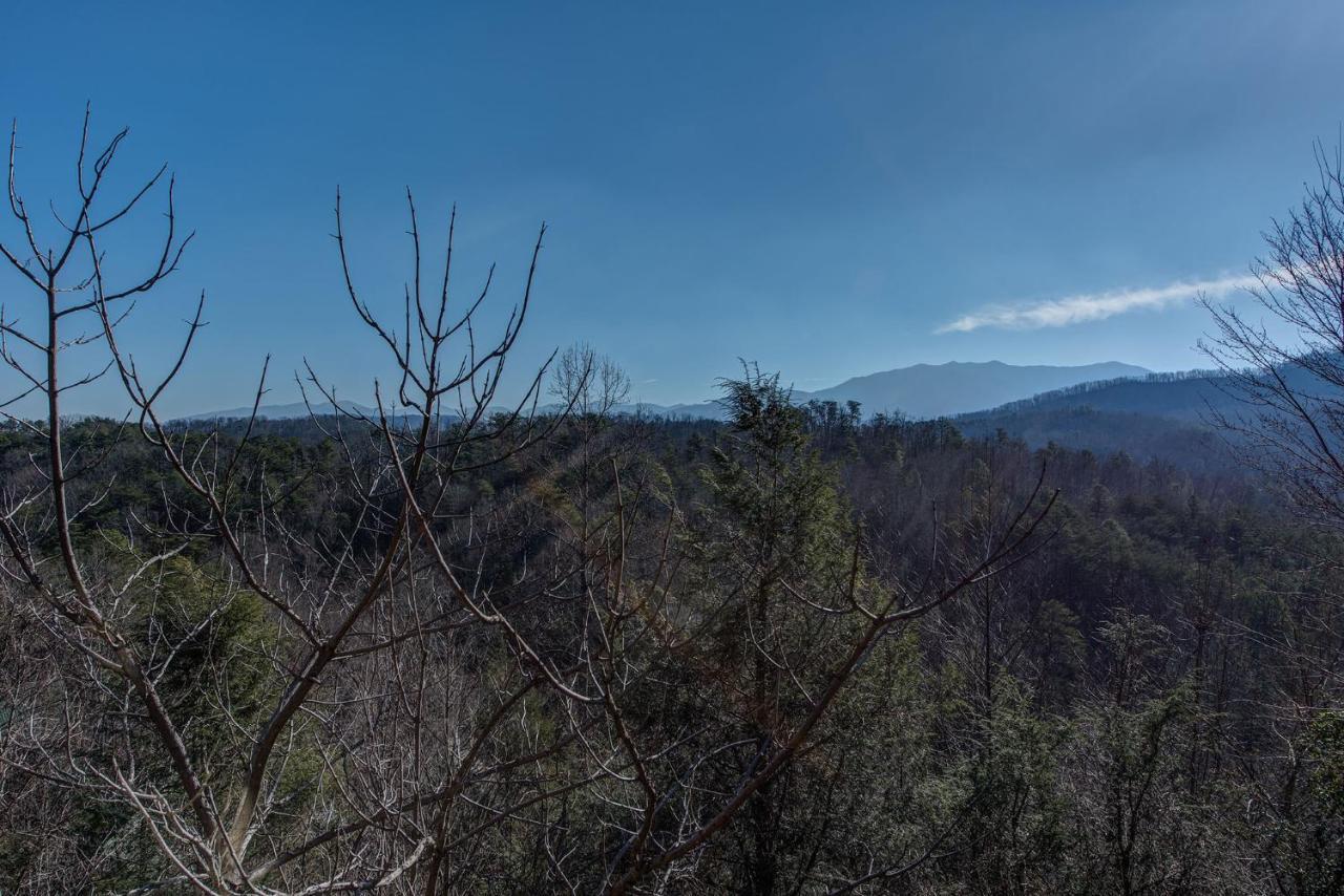 Appartamento Aspens Envy Pigeon Forge Esterno foto
